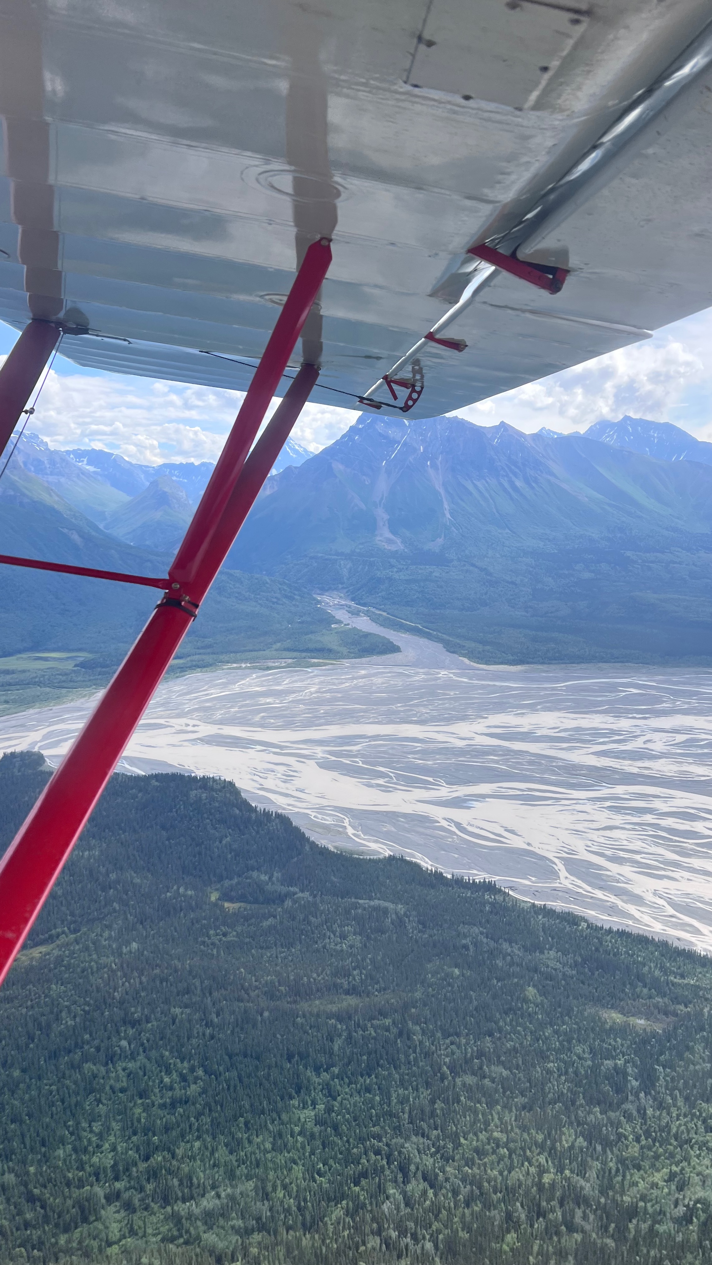 Braided river in Wrangell-St. Elias approaching Fireweed
